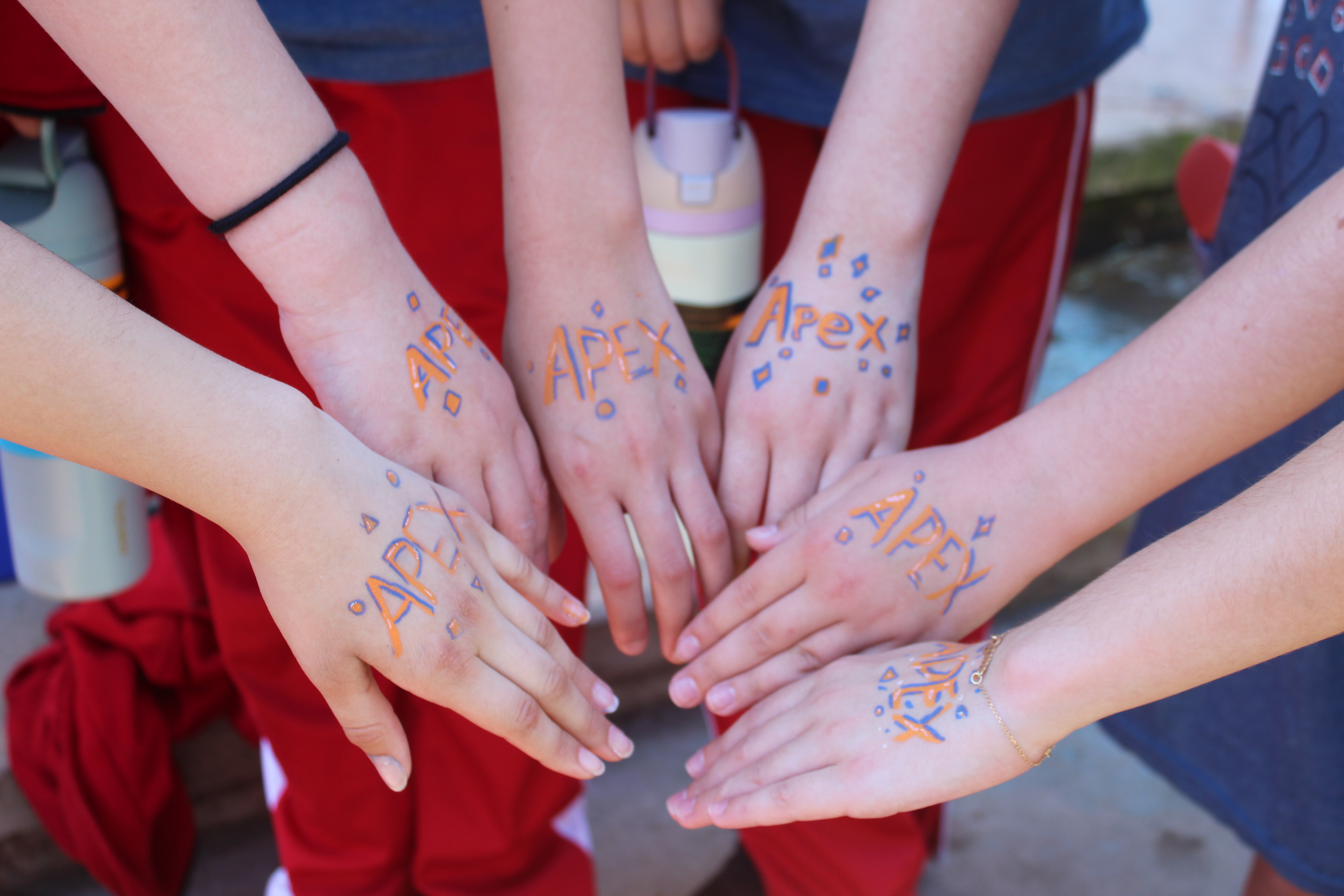 7 Things to Know About Elementary Fundraising Programs